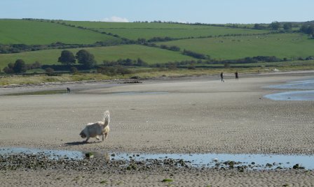 Hey, chart goes here