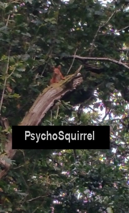 Hey, chart goes here