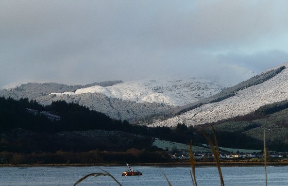 Hey, chart goes here